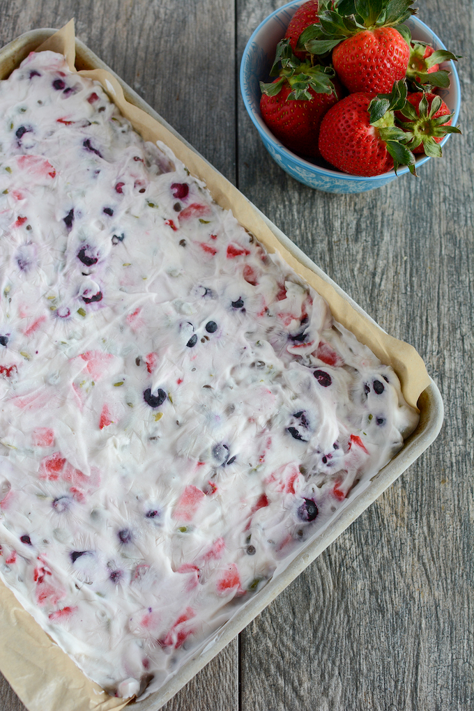 Frozen Yogurt Bark | with fruit & chocolate mix-ins!